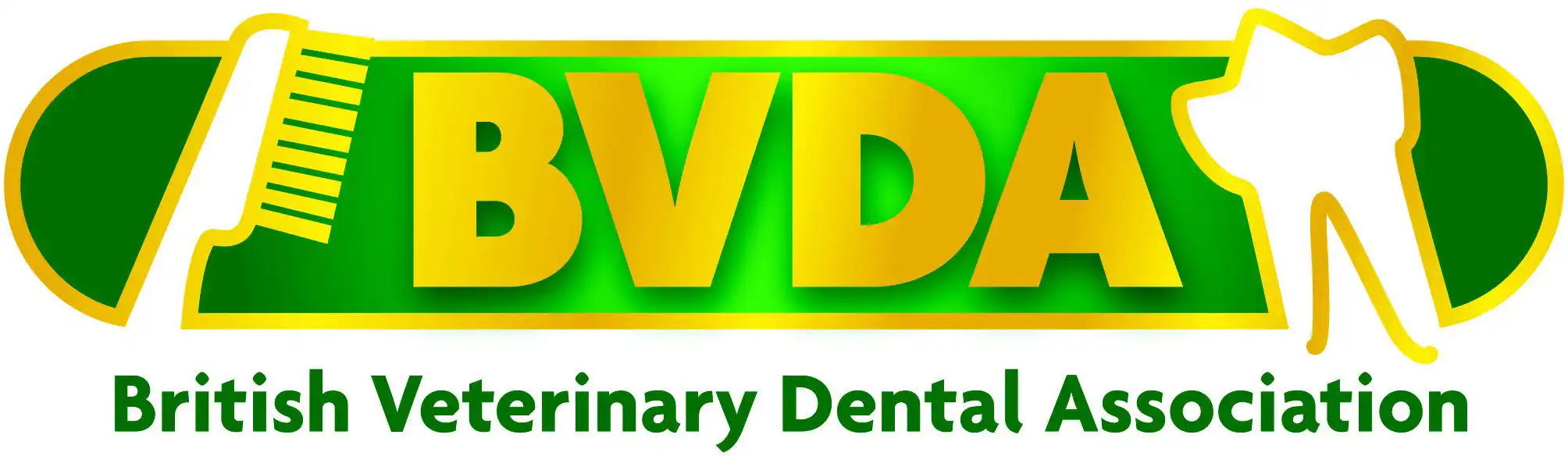 BVDA Feline Dentistry Course